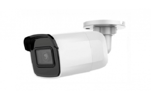 Camera HDPARAGON HDS-2021IRP